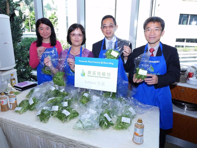 信興集團介紹集團最新業務─蔬菜培植坊。